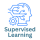 Supervised Learning Training in Egypt