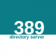 389 Directory Server Training in Egypt