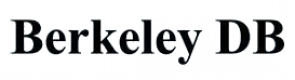 Berkeley DB Training Courses