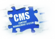 Category for Content Management System (CMS) Training in Egypt
