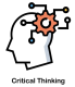 Critical Thinking Training in Egypt