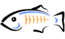 GlassFish Training in Egypt