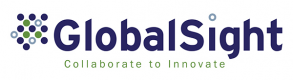 GlobalSight Training in Egypt