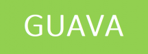 Guava Training in Egypt