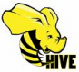 Hive Training in Egypt