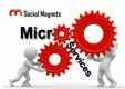 Microservices Training in Egypt