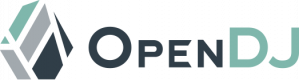 OpenDJ Training in Egypt