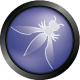 OWASP Training in Egypt