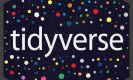Tidyverse Training in Egypt