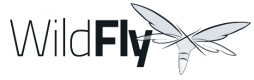 Wildfly Training Courses